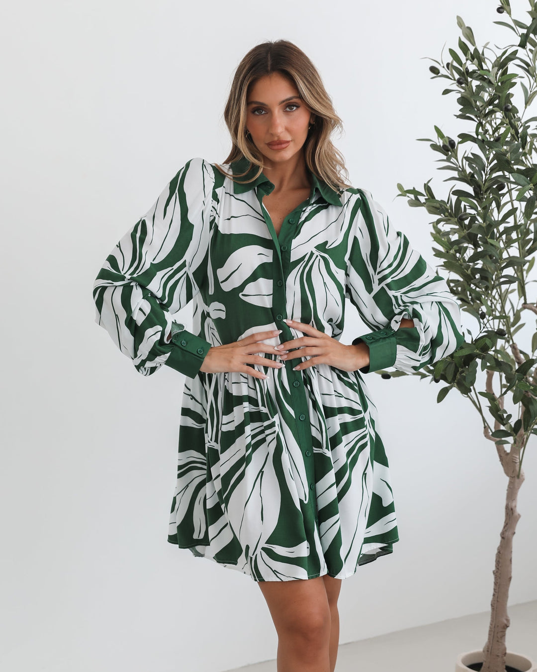 Mini Lengte | Dames | Eilynne Jurk | Groene Print | Overhemdkraag | Lange Mouwen