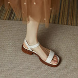 Stijlvolle Dames Sandalen met Lage Hak en Band