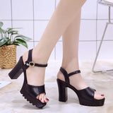 Elegante dames sandalen met hoge hak en decoratieve gesp